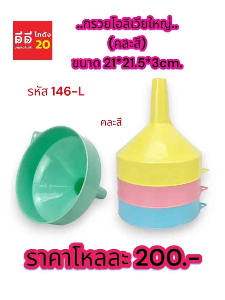 กรวยโอลิเวียใหญ่