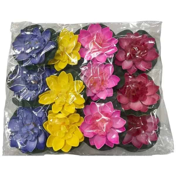 ดอกบัวลอยน้ำ 10 ซม. (ดอกบาน)