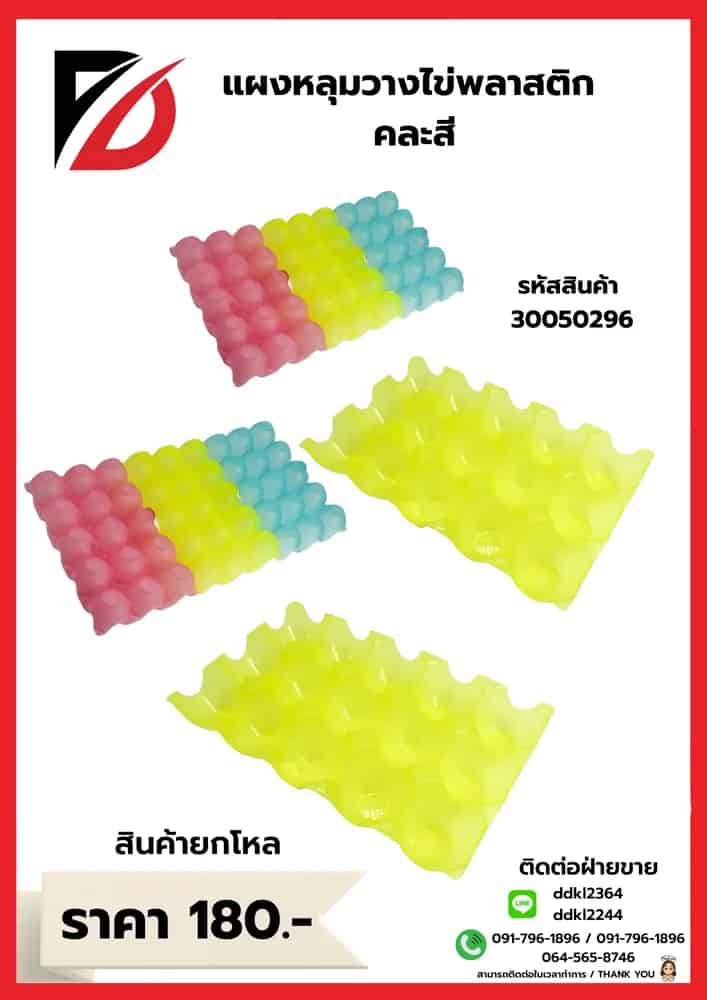 แผงหลุมวางไข่พลาสติก (คละสี)