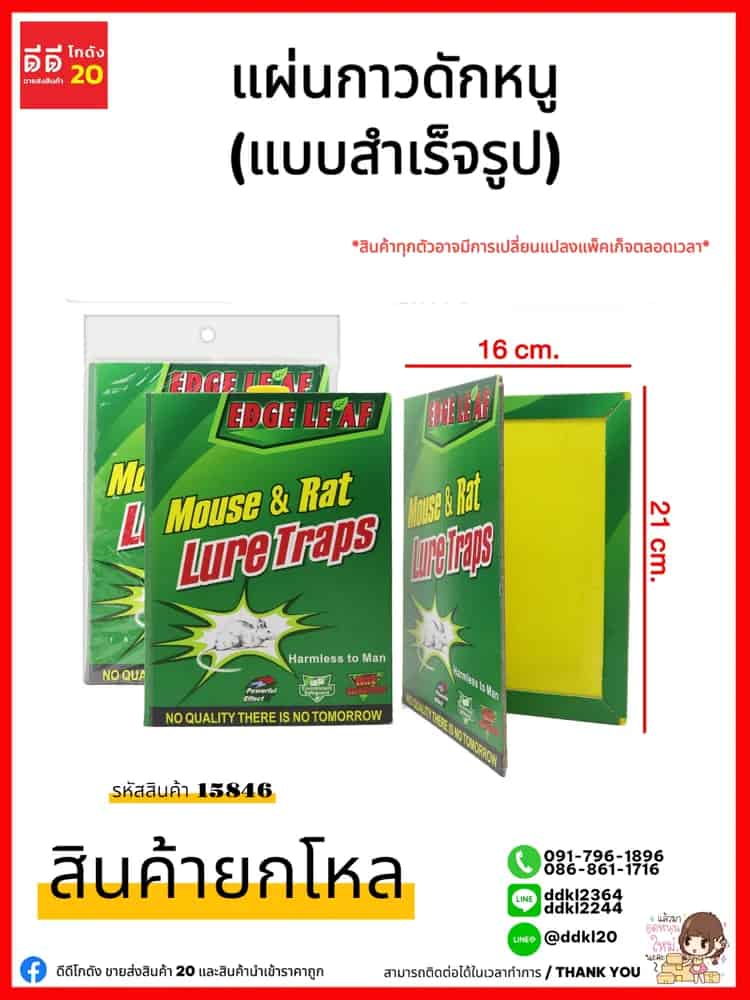 แผ่นกาวดักหนู (แบบสำเร็จรูป)