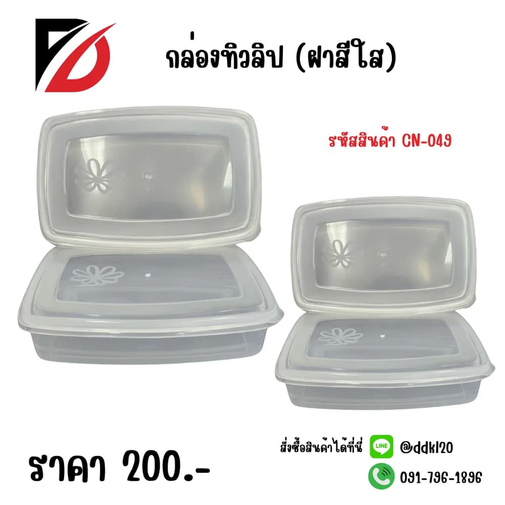 กล่องทิวลิป (ฝาใส) 1