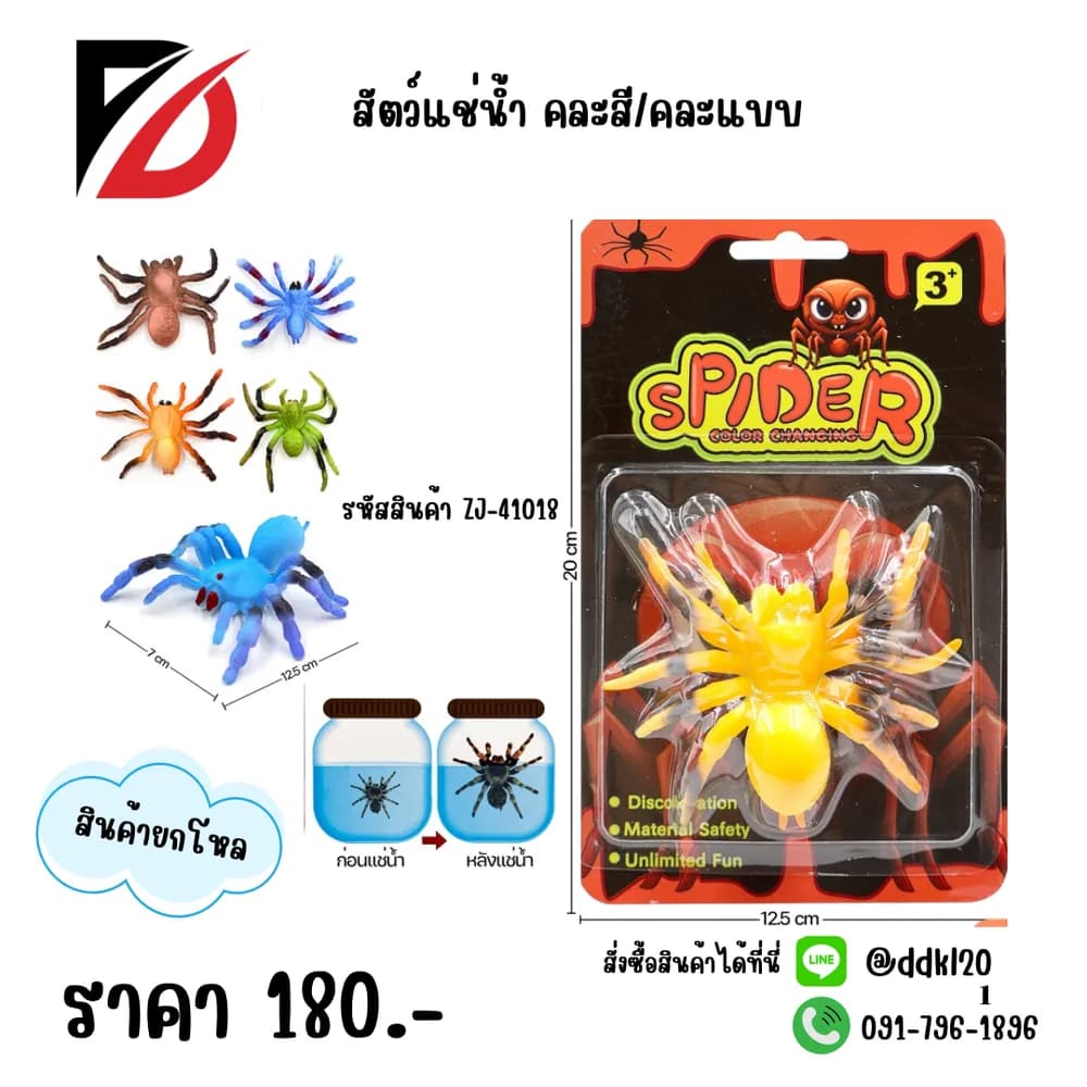 โมเดลสัตว์ (แช่น้ำ) 1