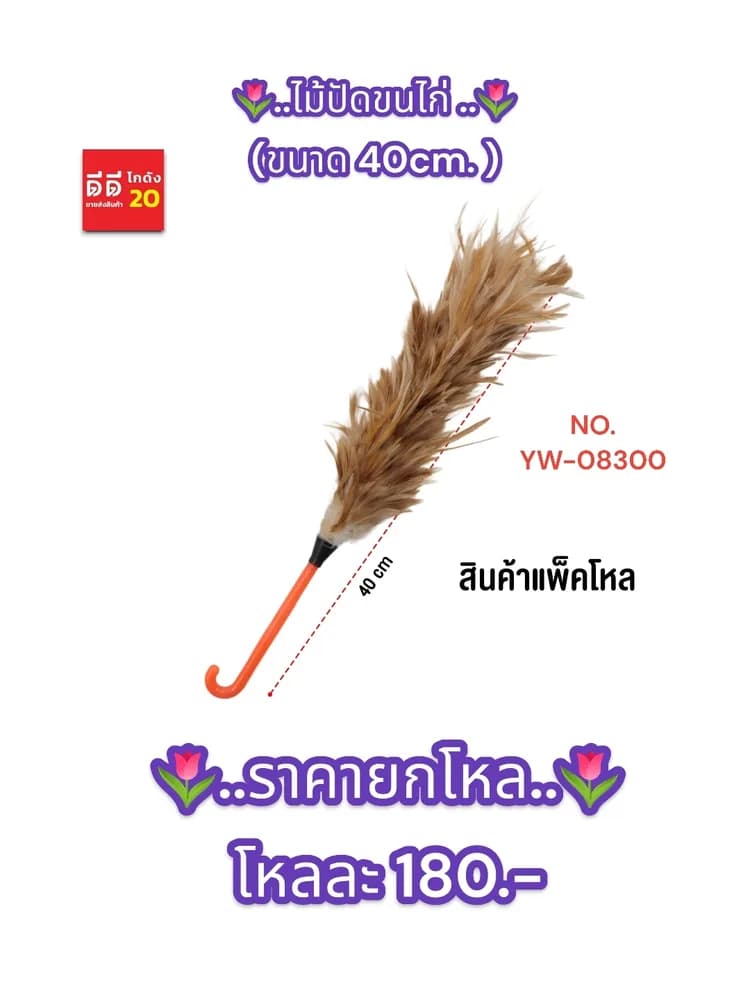 ไม้ปัดขนไก่สี 1