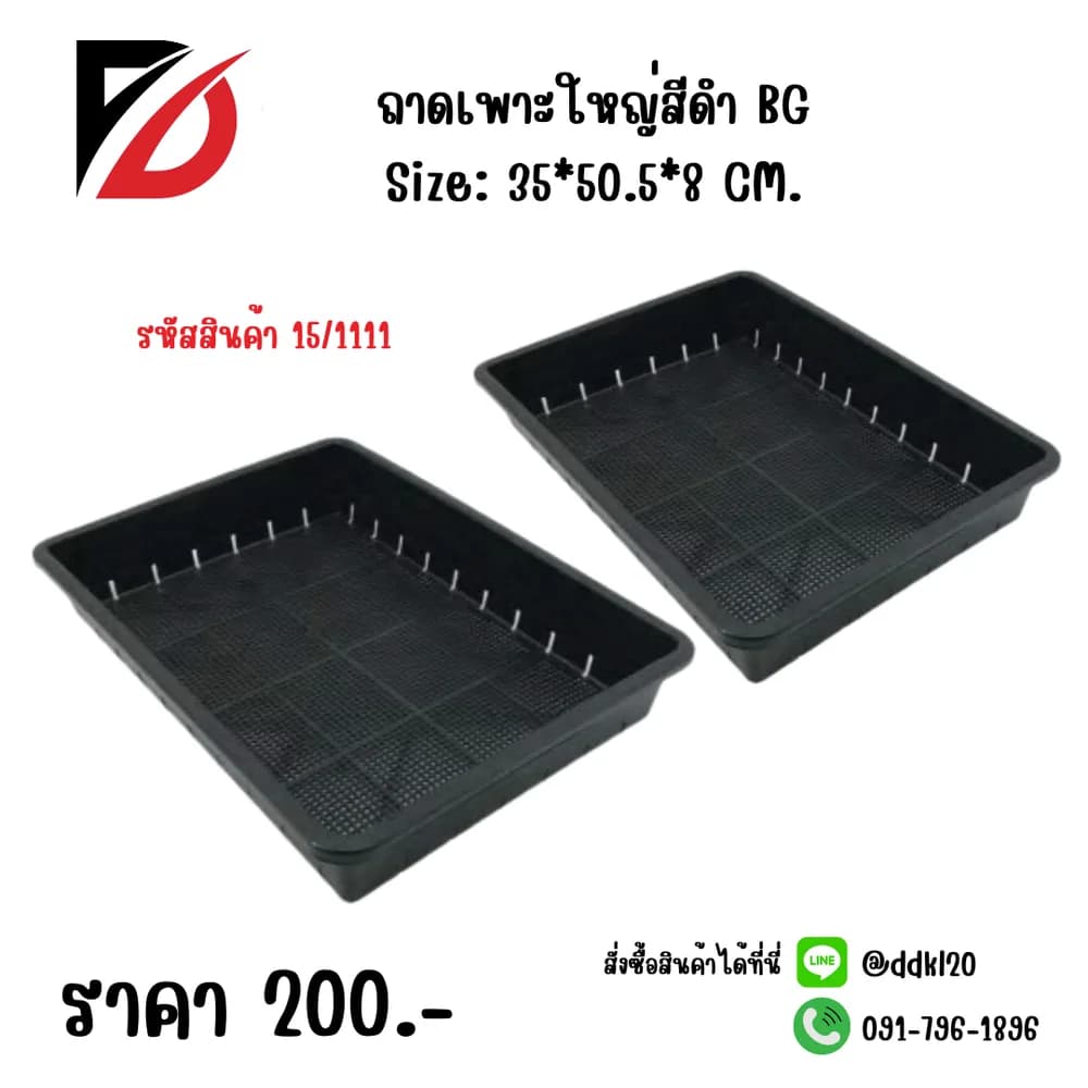 ถาดเพาะใหญ่ (โปร่ง) สีดำ 1